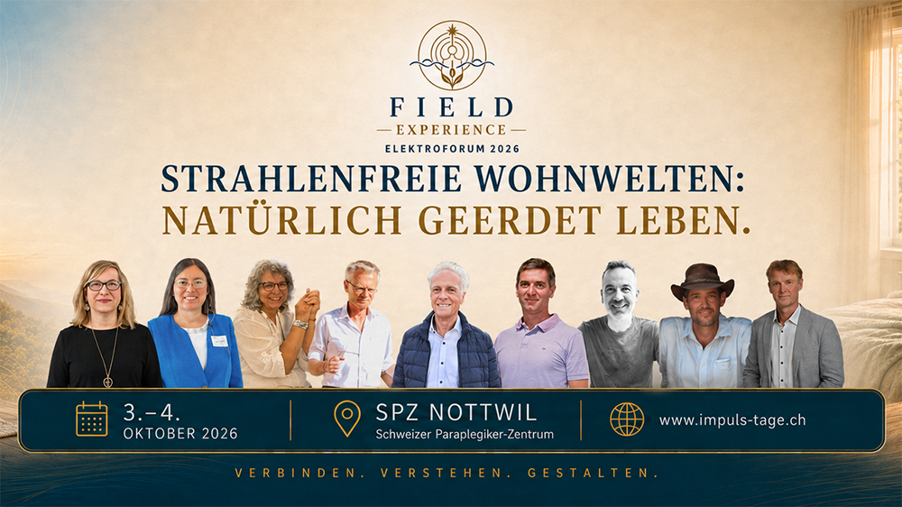 Elektroforum Field Experience 2026